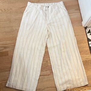 American Eagle Outfitters Men's Light Striped Chinos